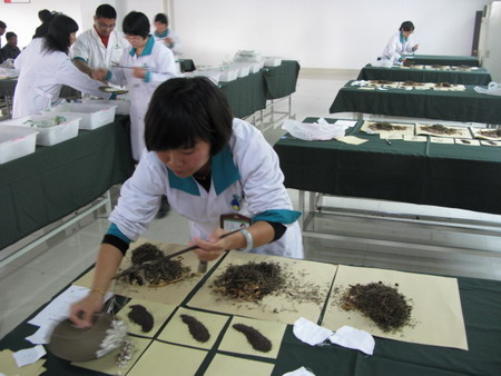 亚洲高清毛片一区二区