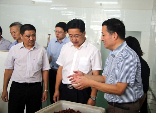 市委书记陈金彪来我公司调研