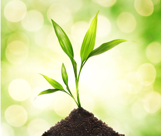 亚洲高清毛片一区二区