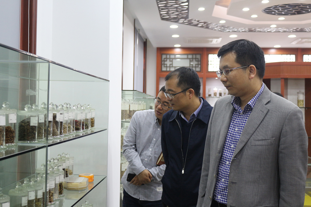 亚洲高清毛片一区二区