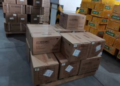 元旦假期，他们奋战在一线