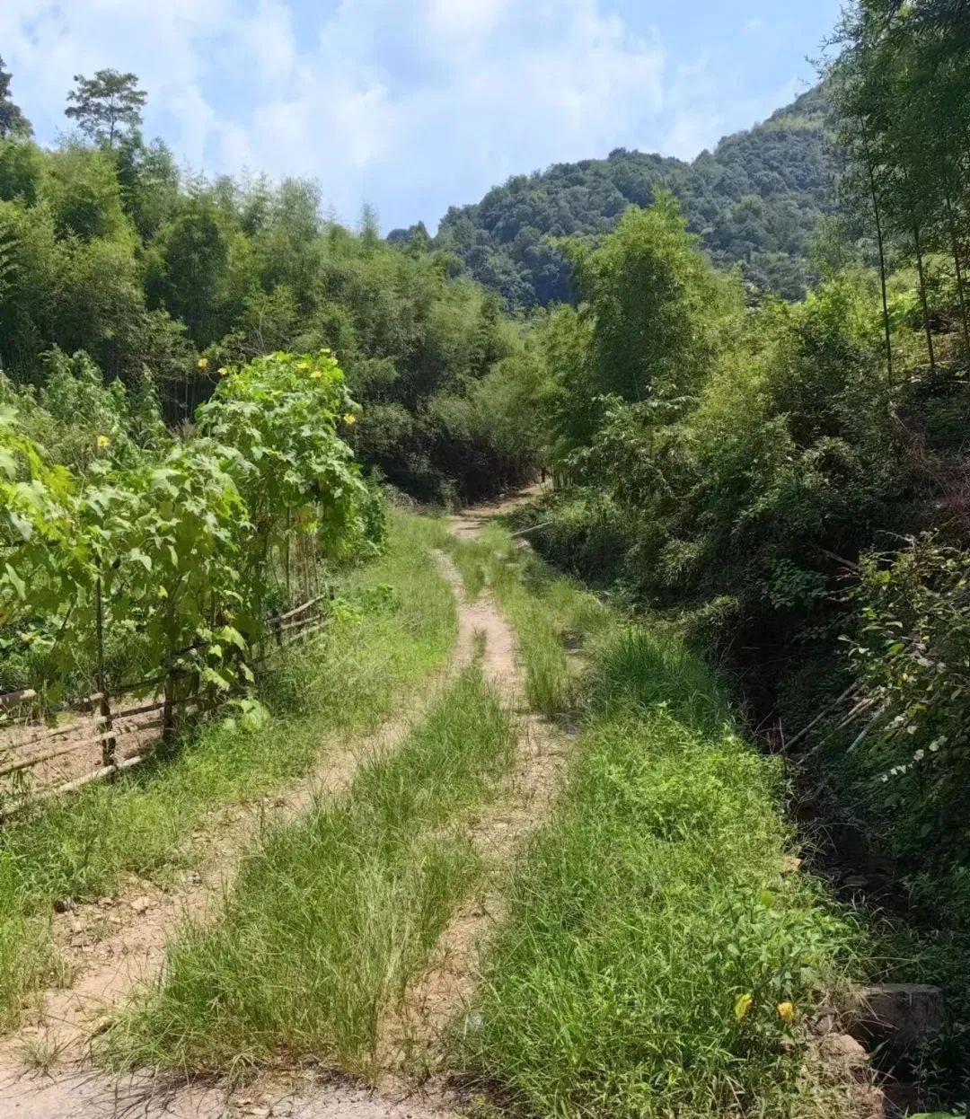 亚洲高清毛片一区二区