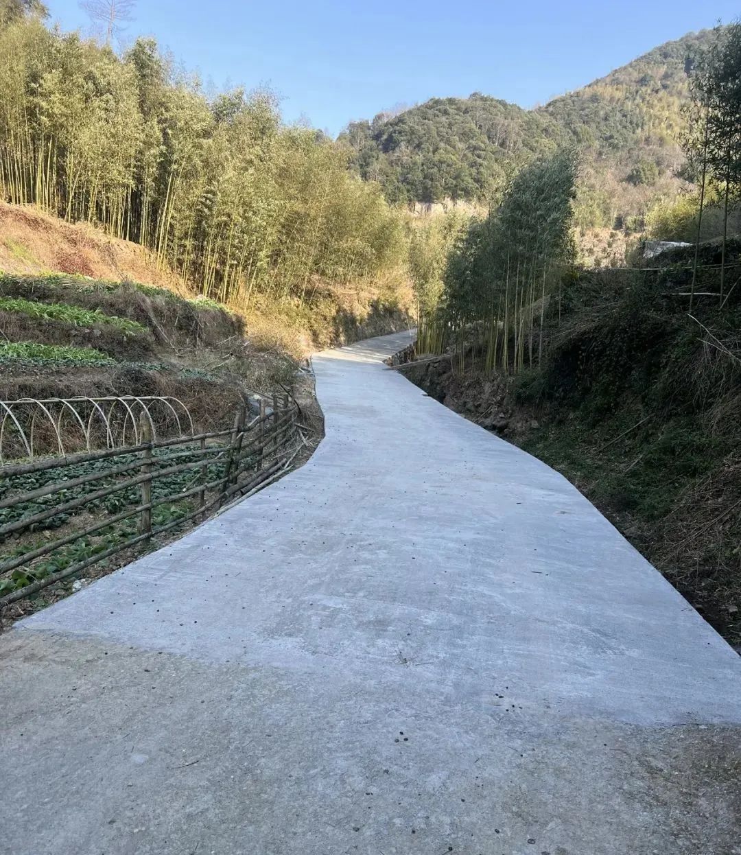 亚洲高清毛片一区二区